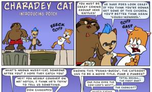 Charadey Cat